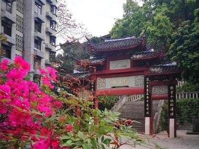 福(fu)州市裏最著(zhu)名(ming)的(de)三座(zuo)山(shan),其中又(you)以(yi)它(ta)最美,人稱&ldquo;三(san)山(shan)之(zhi)首(shou)&rdquo;