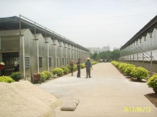 福(fu)州陽(yang)光(guang)板(ban)溫(wen)室|廈(sha)門黑(hei)土(tu)農業(ye)科(ke)技_農(nong)副產品(pin)_世界(jie)工(gong)廠網(wang)