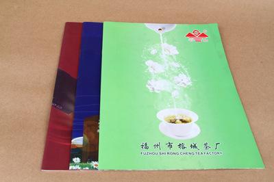 宣傳品(pin)設(she)計-宣傳畫冊(ce) 產品(pin)畫冊(ce) 企(qi)業(ye)畫(hua)冊 A416P 500本(ben) 公(gong)司畫(hua)冊 宣傳冊.