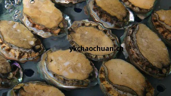 【品(pin)牌展(zhan)播】中(zhong)國(guo)地(di)理標(biao)誌(zhi)農產品(pin)品(pin)牌展(zhan)播(福(fu)建(jian)福(fu)州(zhou)篇(pian)-下)