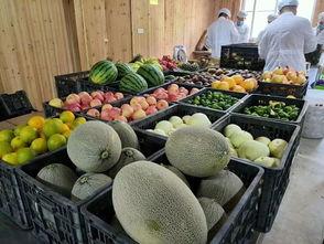 七(qi)年(nian)成(cheng)釀 三(san)明(ming)首(shou)款(kuan)酵素誕(dan)生記