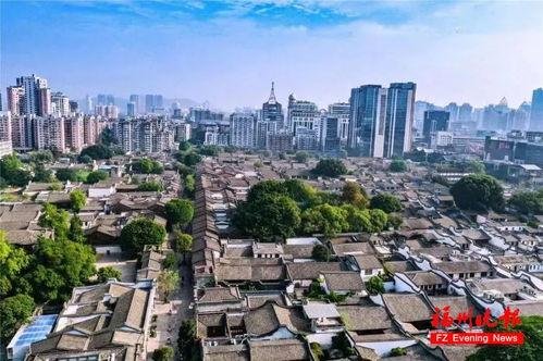 春天的(de)回響 福(fu)州(zhou)這壹年(nian)